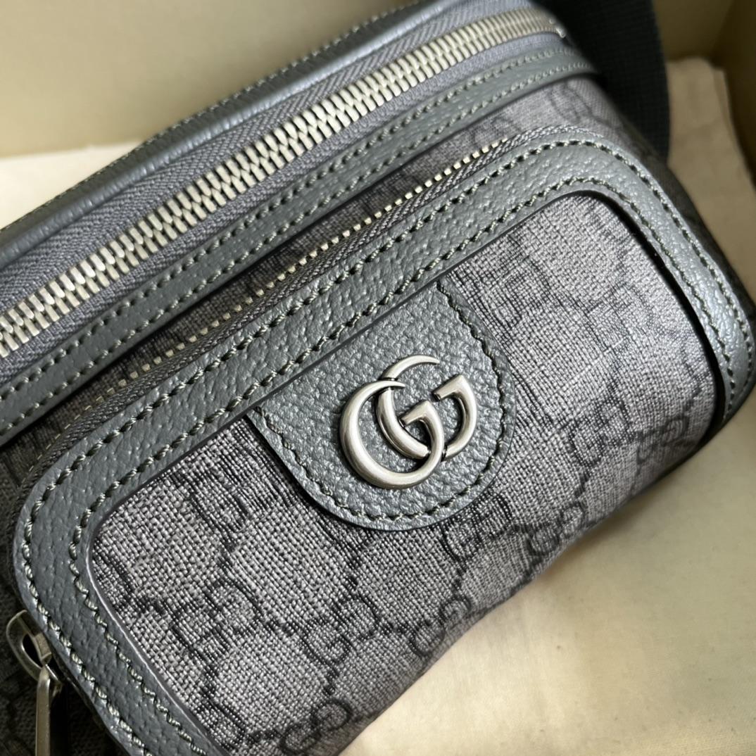 Gucci Ophidia Belt Bag(23-12-2.5cm) - PerfectKickZ