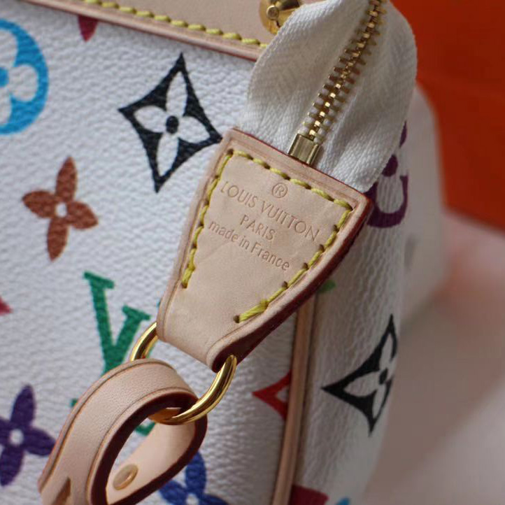 Louis Vuitton x Takashi Murakami Pochette Accessoires Clutch Bag(22-13cm) - PerfectKickZ