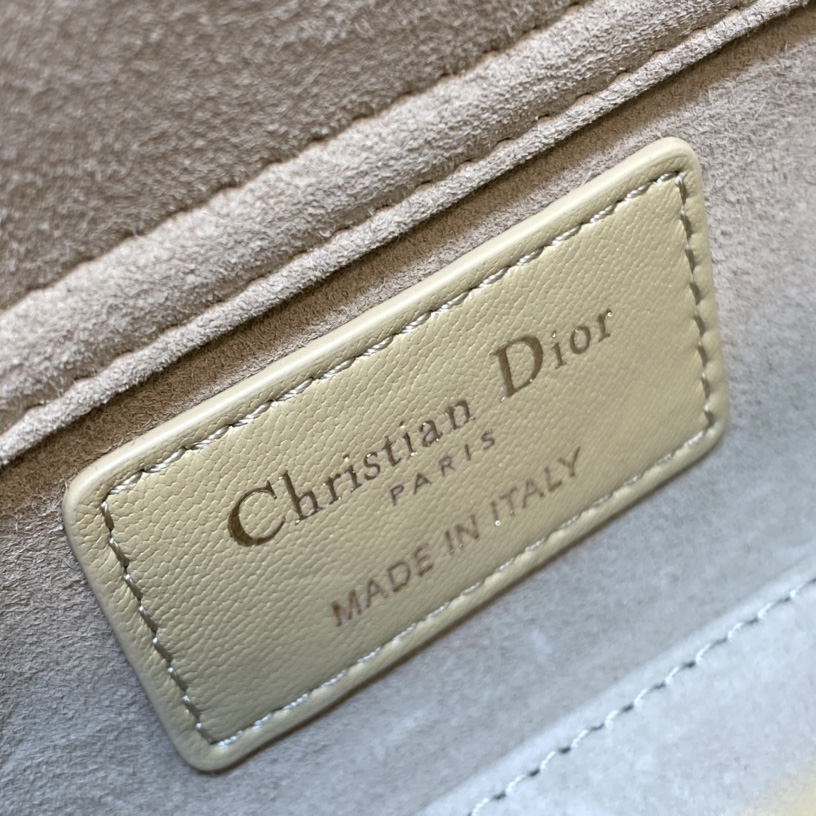 Dior Micro Lady D-Joy Bag - PerfectKickZ