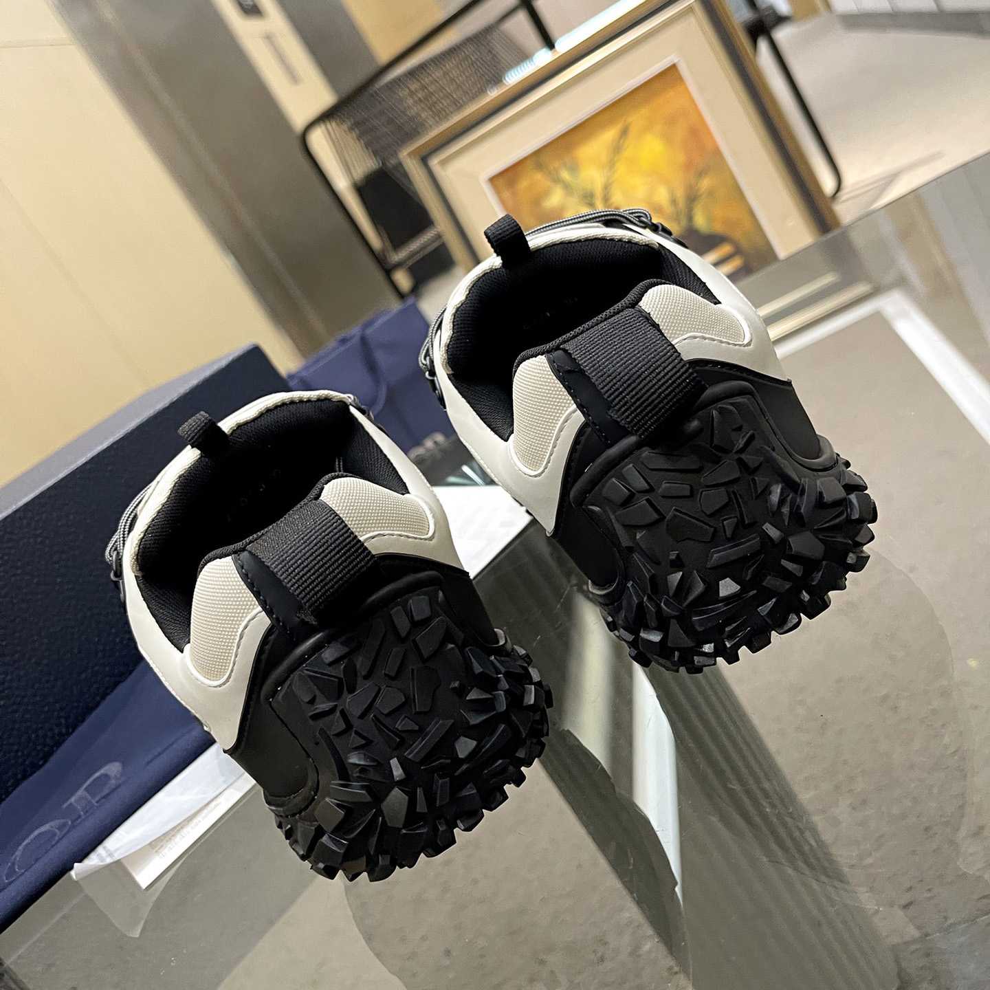Dior Diorizon Hiking Shoe - PerfectKickZ