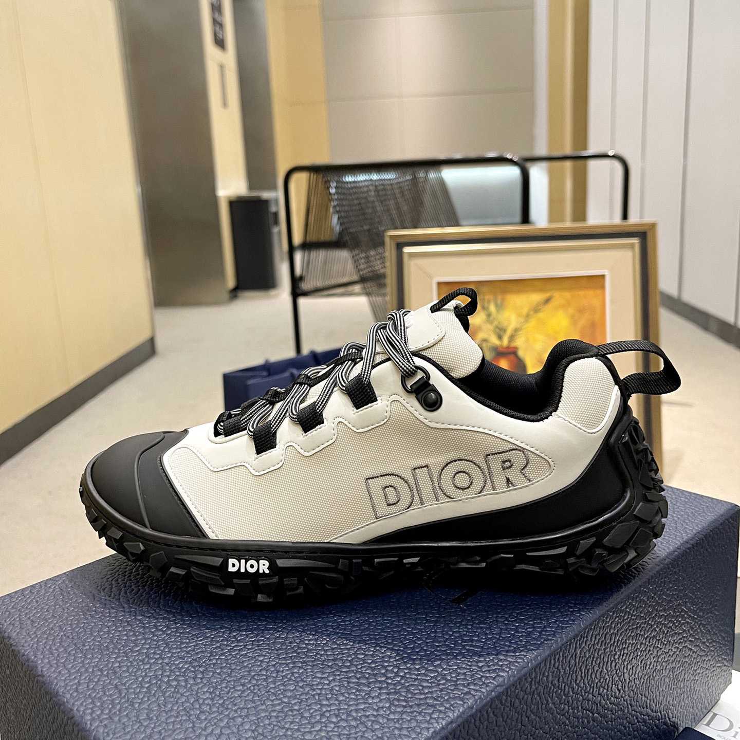 Dior Diorizon Hiking Shoe - PerfectKickZ