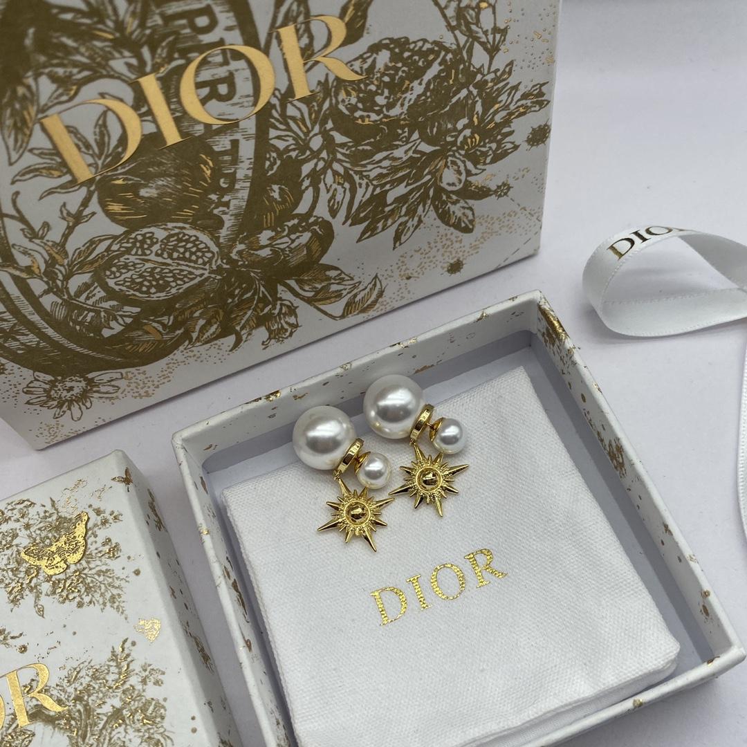 Dior Tribales Earrings - PerfectKickZ