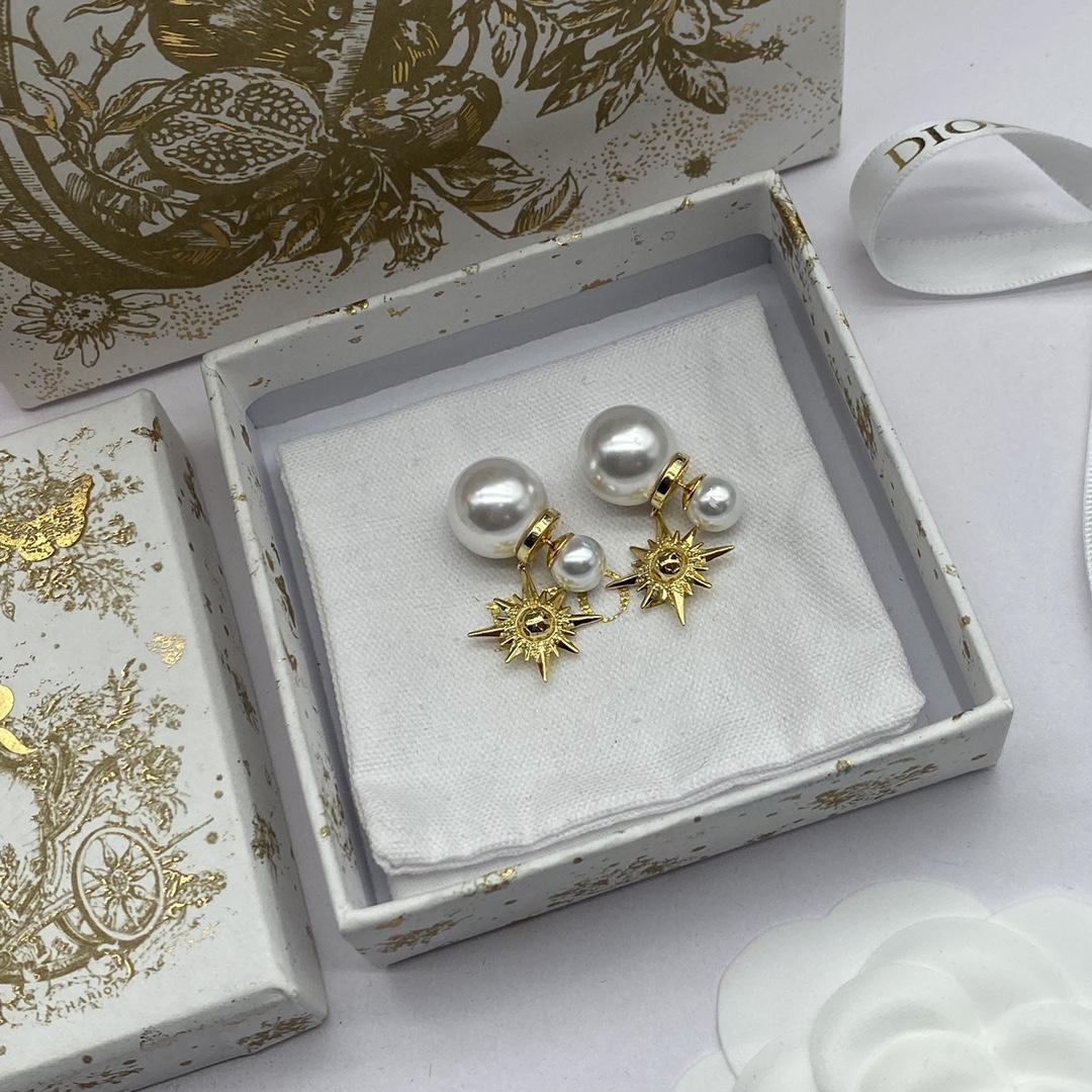 Dior Tribales Earrings - PerfectKickZ