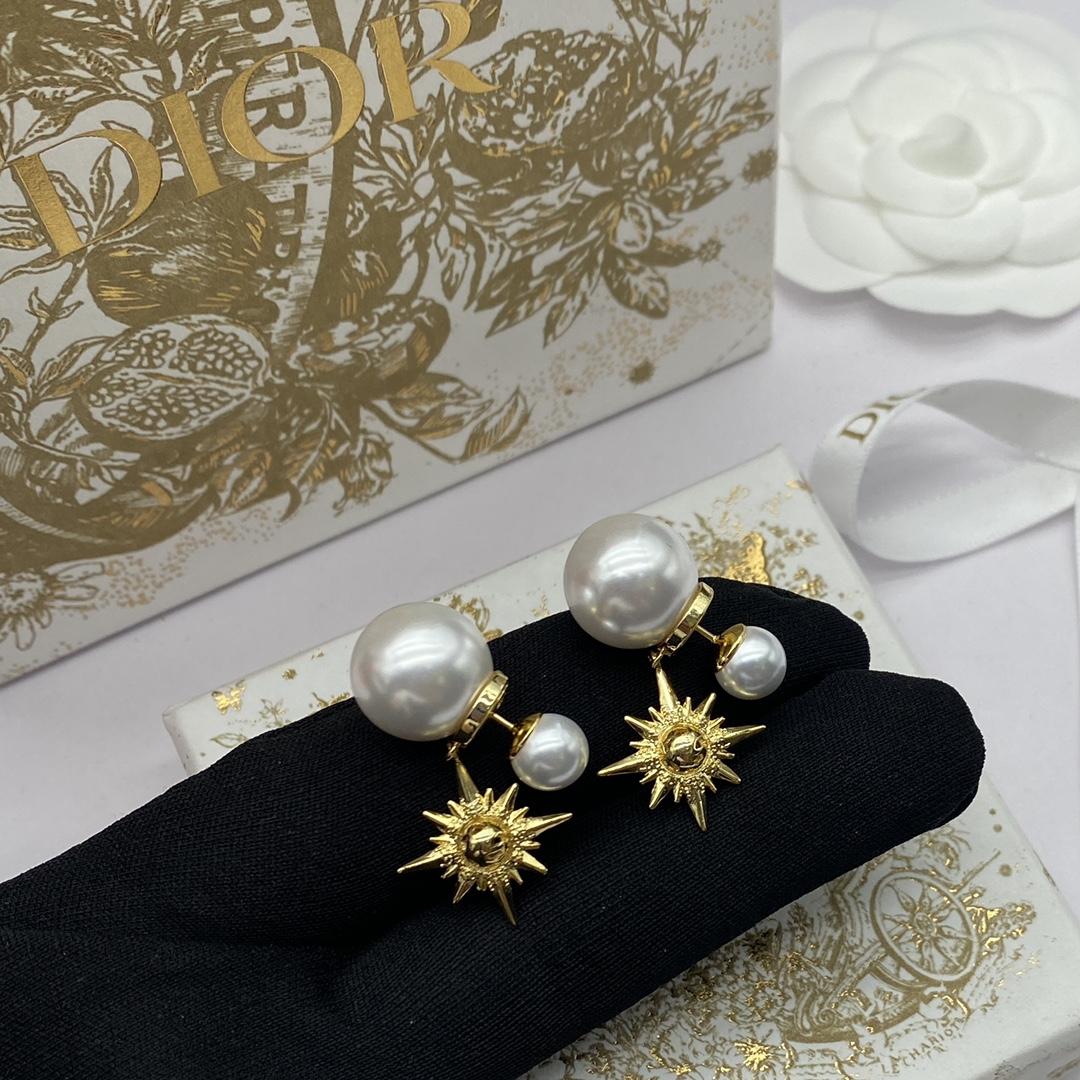 Dior Tribales Earrings - PerfectKickZ