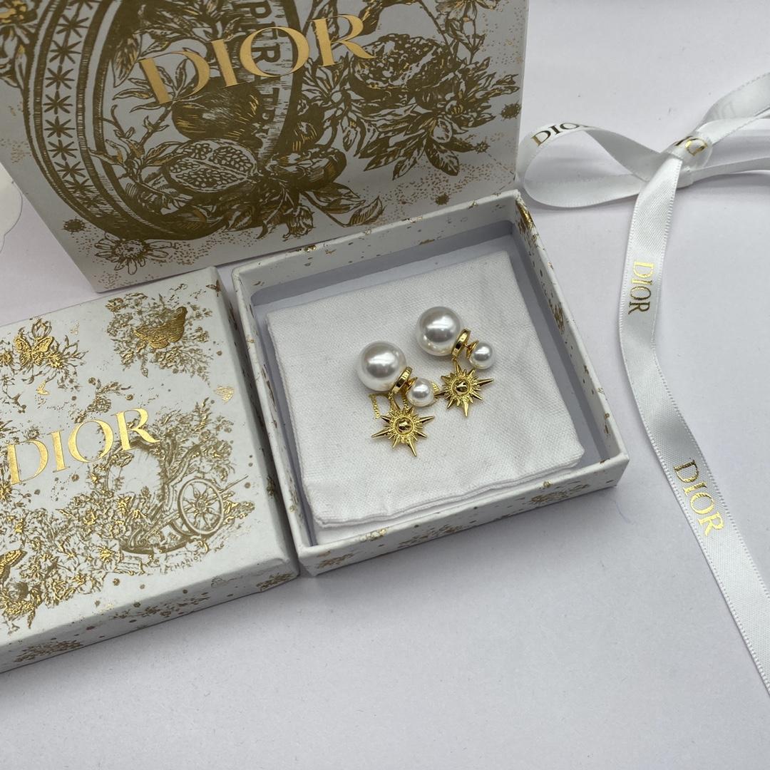 Dior Tribales Earrings - PerfectKickZ