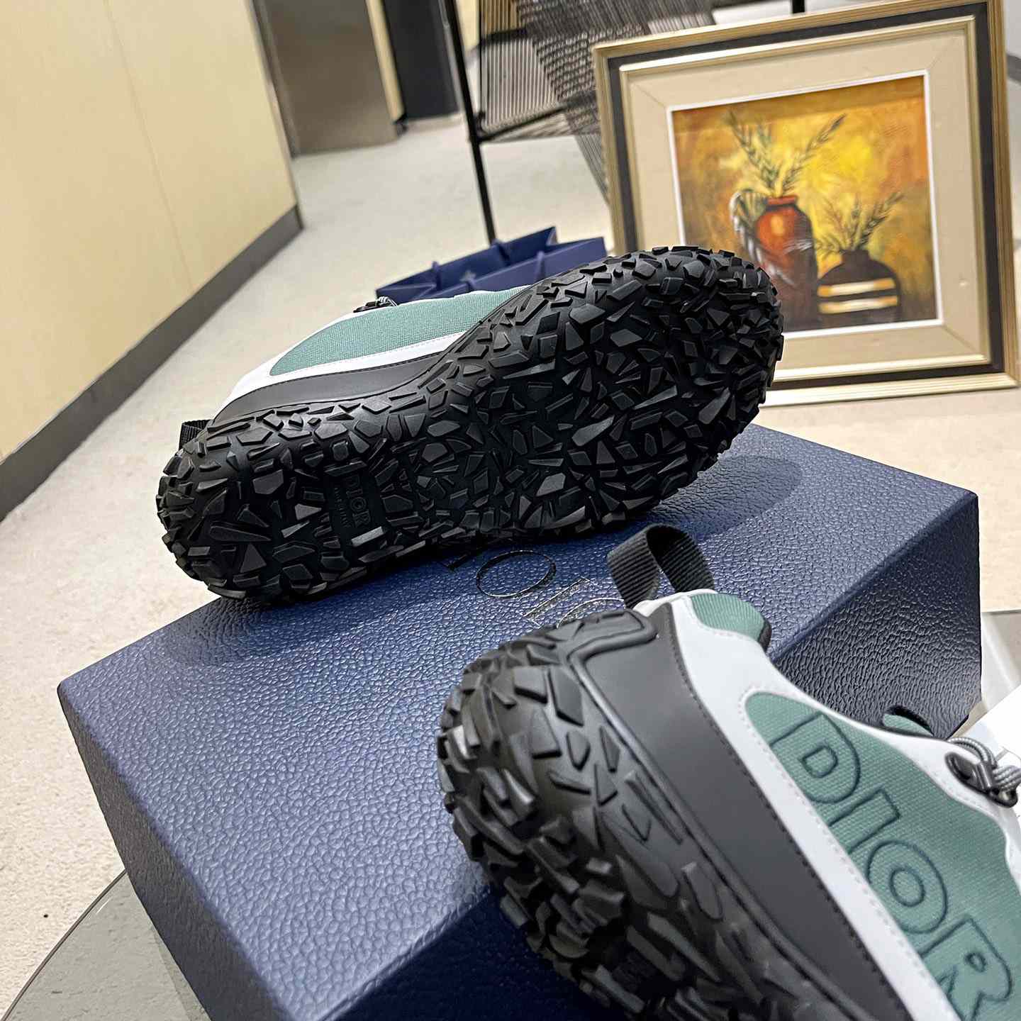Dior Diorizon Hiking Shoe - PerfectKickZ