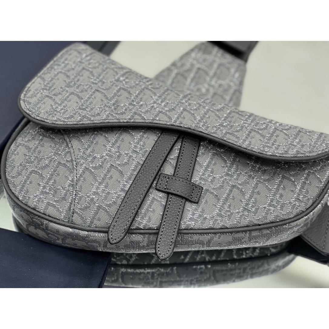 Dior Saddle Bag - PerfectKickZ