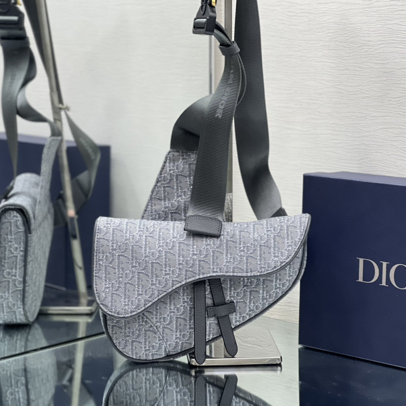 Dior Saddle Bag - PerfectKickZ