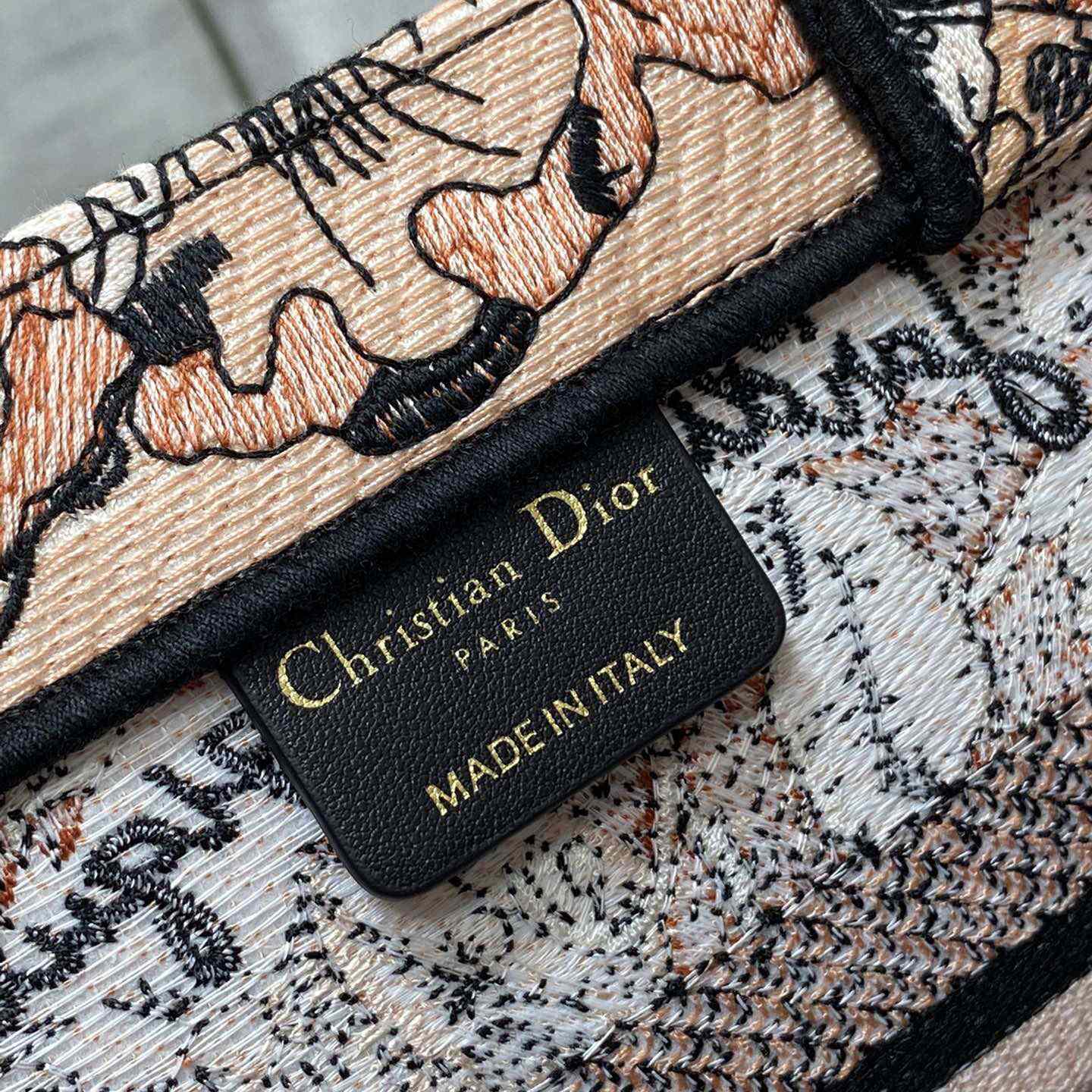 Dior Small Dior Book Tote - PerfectKickZ