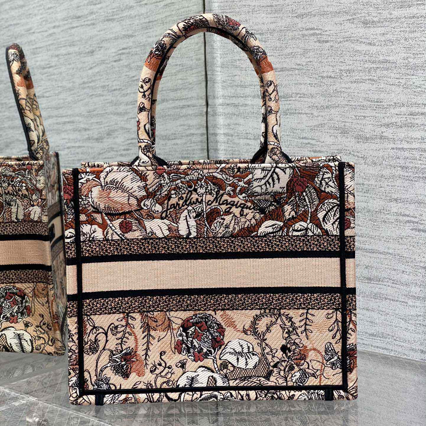 Dior Small Dior Book Tote - PerfectKickZ