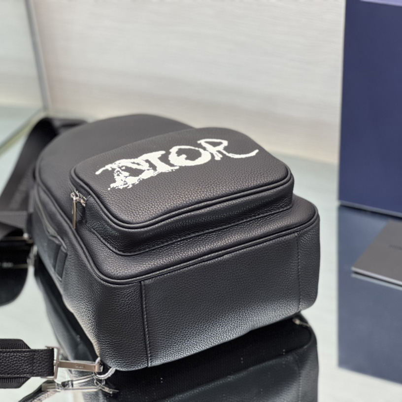 Dior x Peter Doig Sling Bag - PerfectKickZ