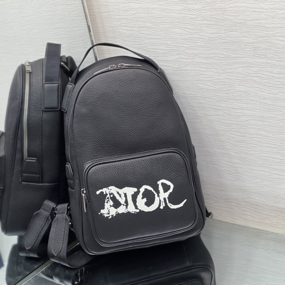 Dior x Peter Doig Sling Bag - PerfectKickZ