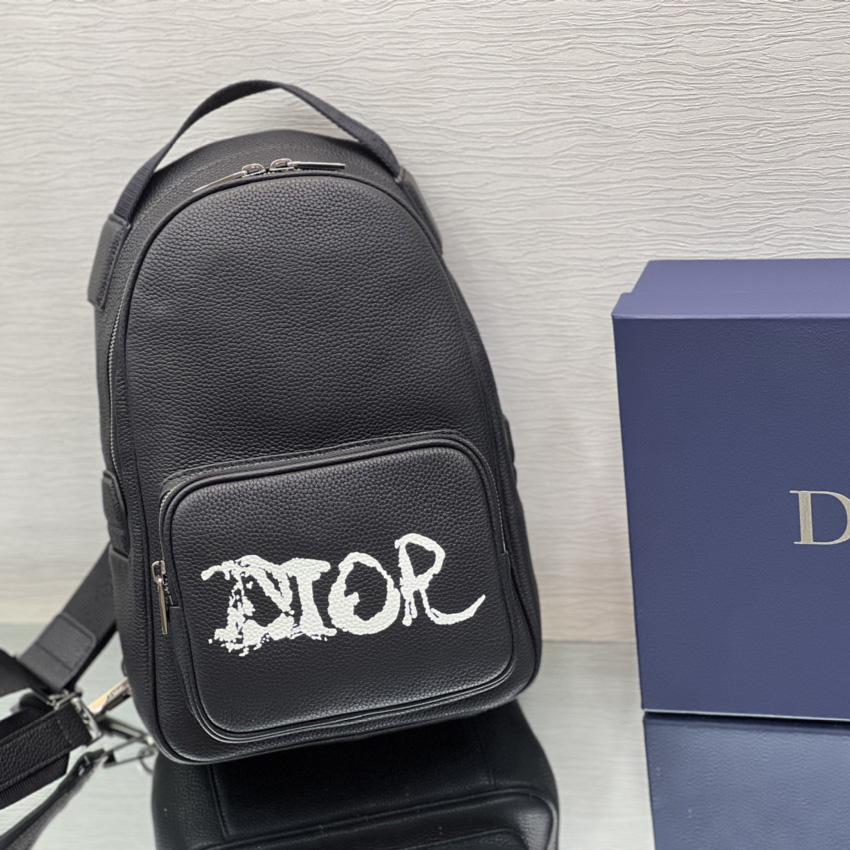 Dior x Peter Doig Sling Bag - PerfectKickZ