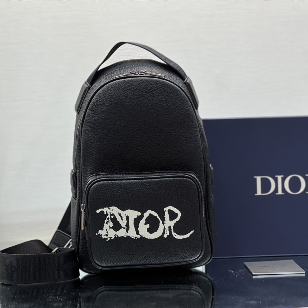 Dior x Peter Doig Sling Bag - PerfectKickZ