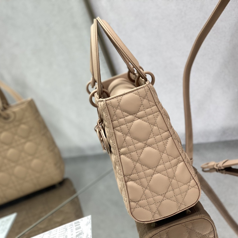 Dior Medium Lady Dior Bag - PerfectKickZ