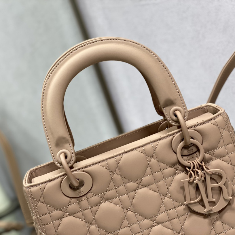 Dior Medium Lady Dior Bag - PerfectKickZ