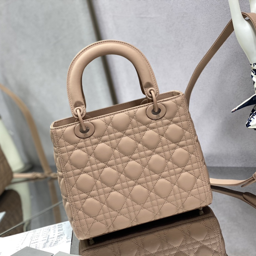 Dior Medium Lady Dior Bag - PerfectKickZ