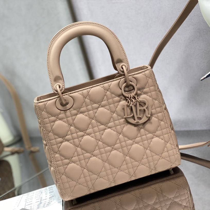 Dior Medium Lady Dior Bag - PerfectKickZ