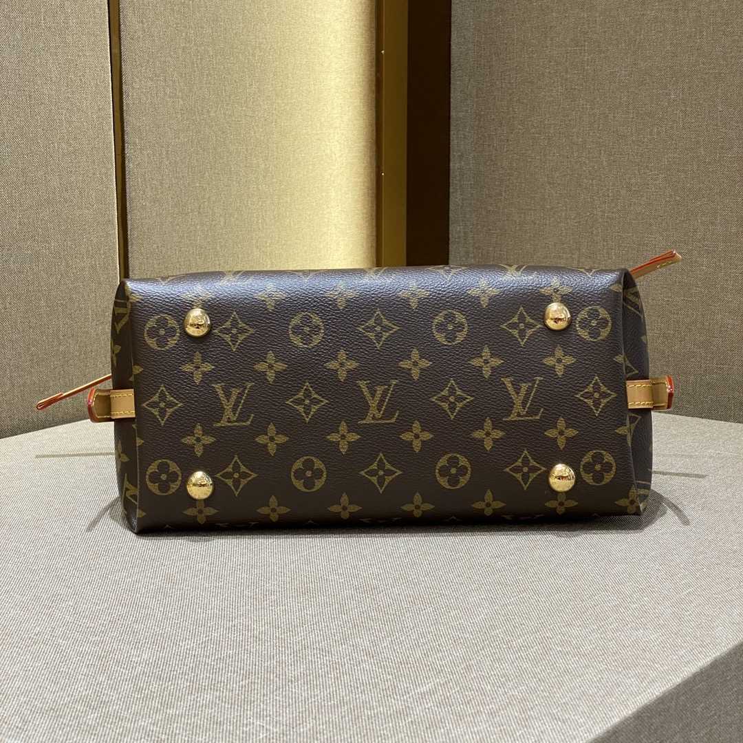 Louis Vuitton CarryAll PM (29-24-12cmCM)   M46203 - PerfectKickZ
