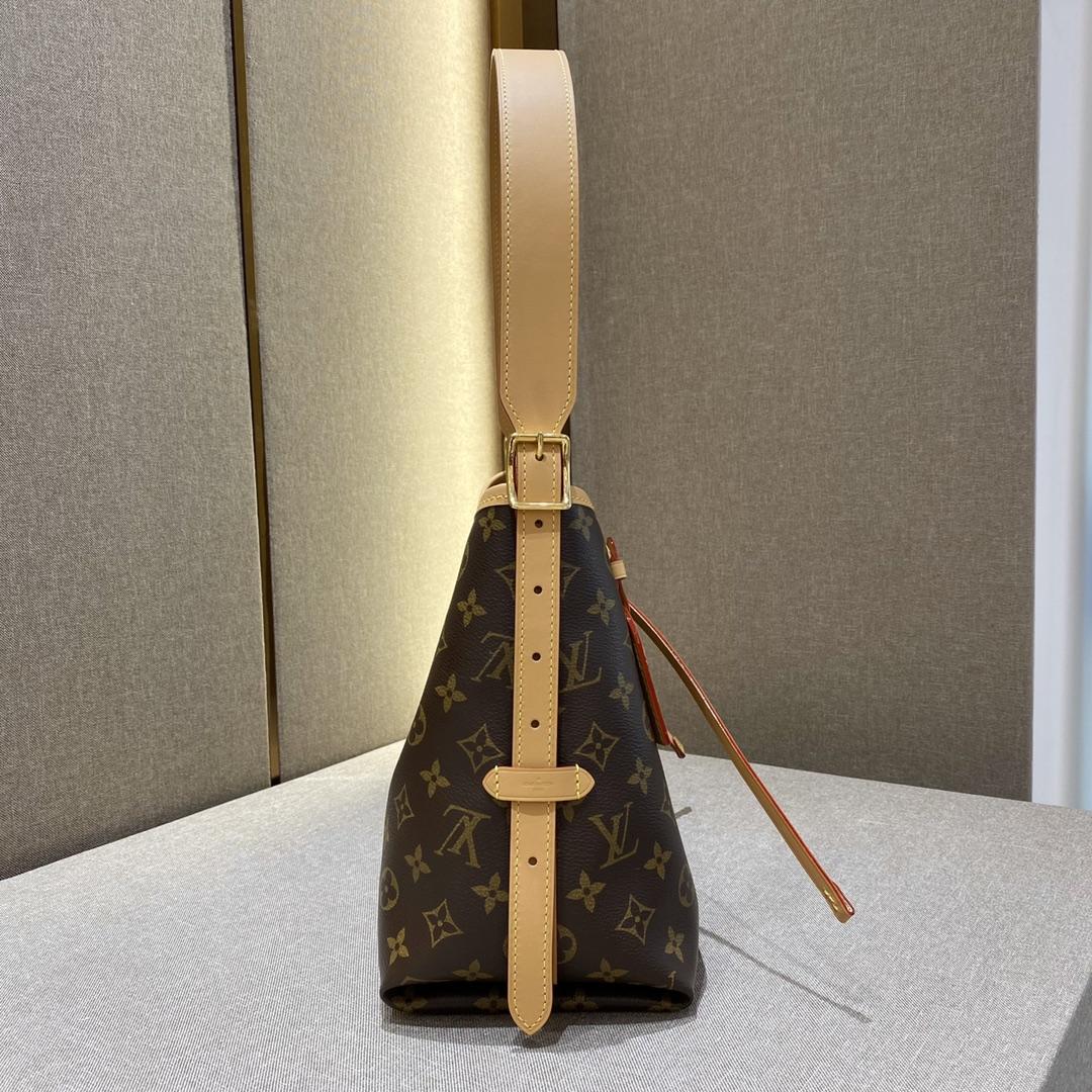 Louis Vuitton CarryAll PM (29-24-12cmCM)   M46203 - PerfectKickZ