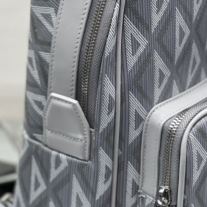 Dior Mini Rider Sling Bag - PerfectKickZ