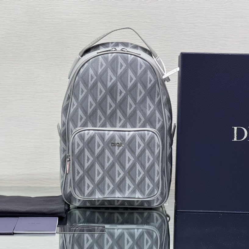 Dior Mini Rider Sling Bag - PerfectKickZ