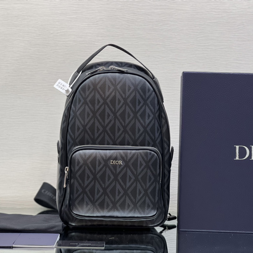 Dior Mini Rider Sling Bag - PerfectKickZ