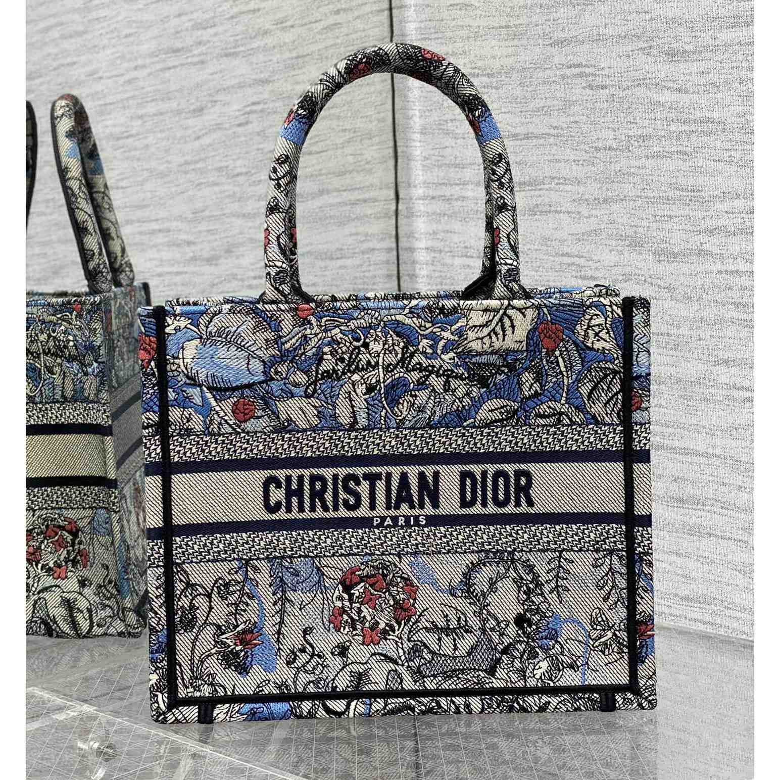 Dior Small Dior Book Tote - PerfectKickZ