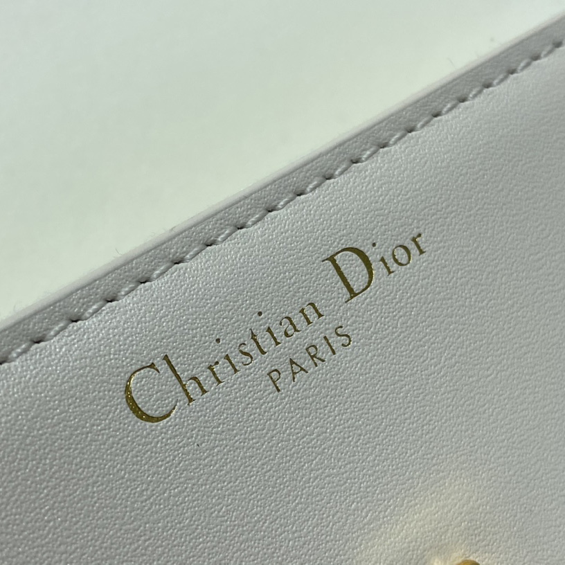 Dior 30 Montaigne Avenue Bag - PerfectKickZ