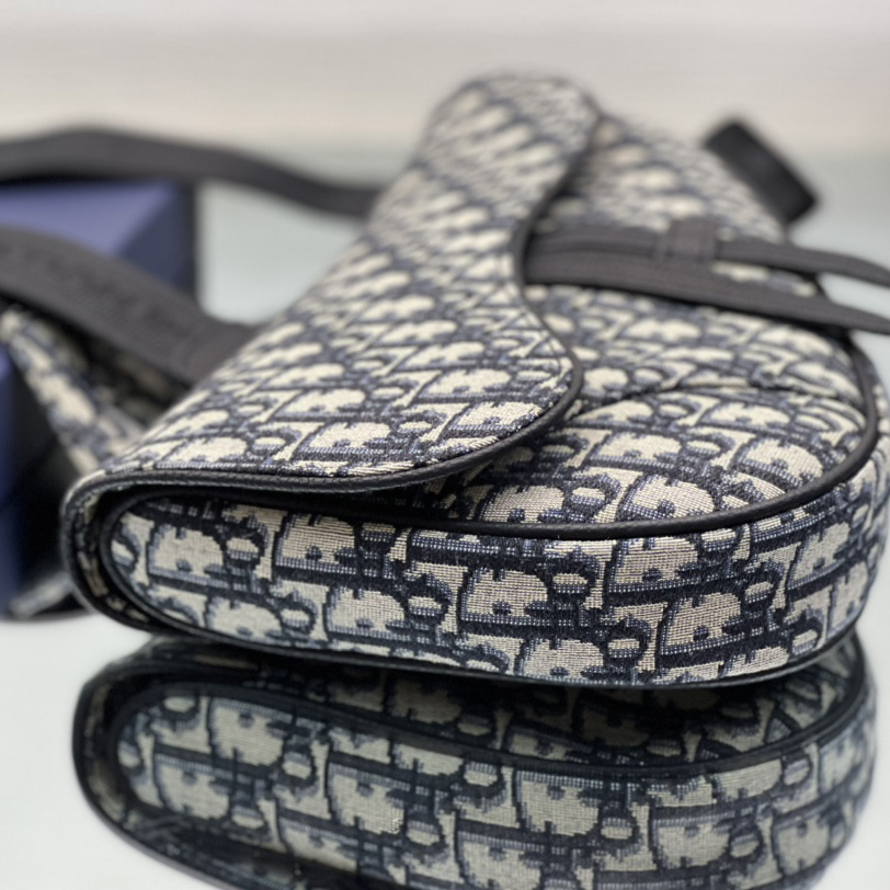 Dior Saddle Bag - 