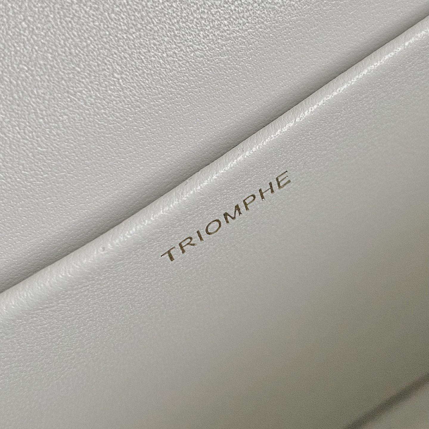Celine Chain Shoulder Bag Triomphe In Shiny Calfskin - PerfectKickZ