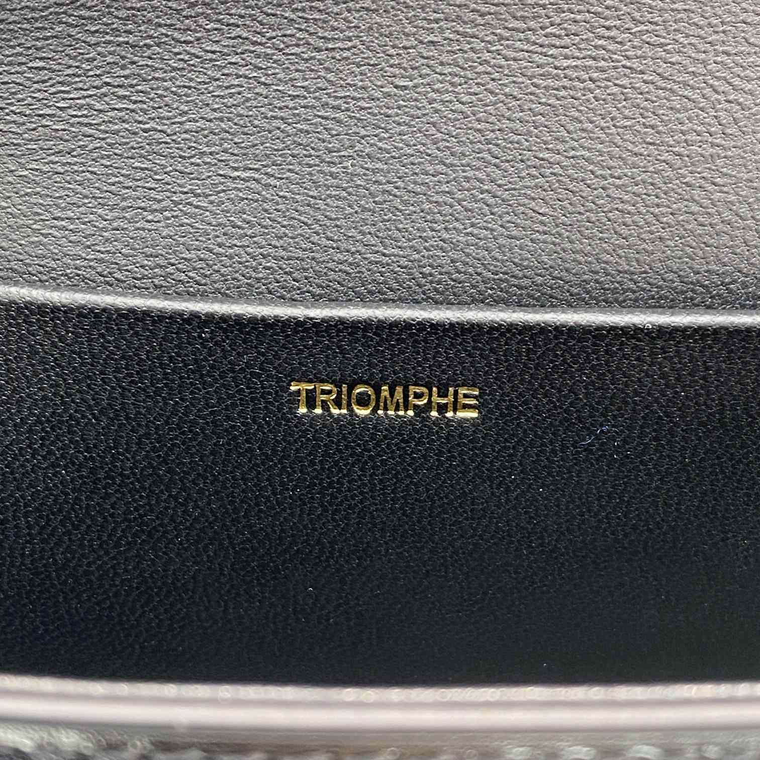 Celine Chain Box Triomphe Bag In Shiny Calfskin - 