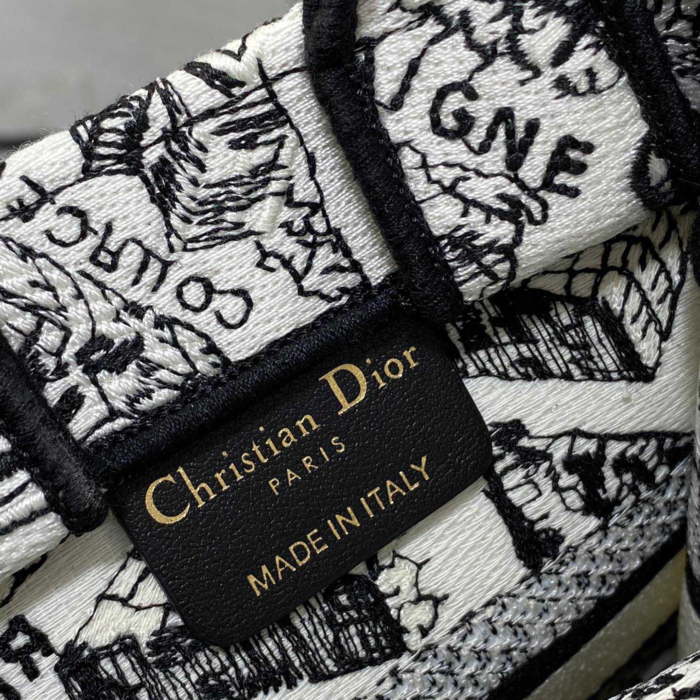 Dior Mini Dior Book Tote Phone Bag - PerfectKickZ
