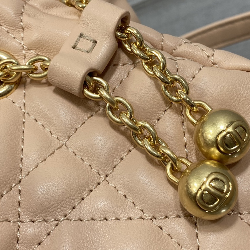 Dior Medium Dior Ammi Bag - PerfectKickZ