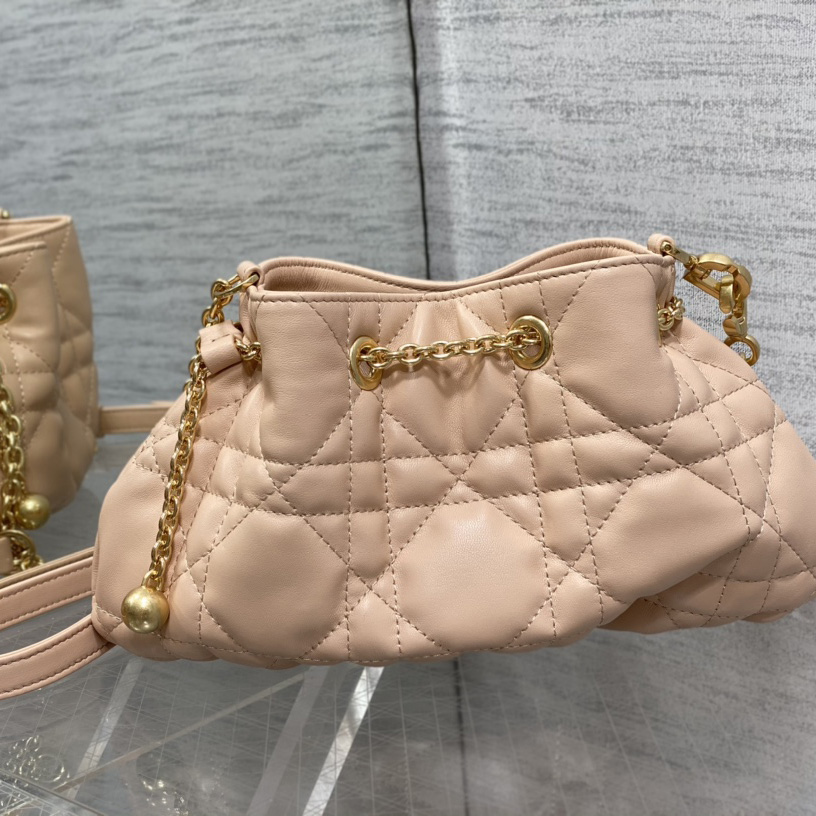 Dior Medium Dior Ammi Bag - PerfectKickZ