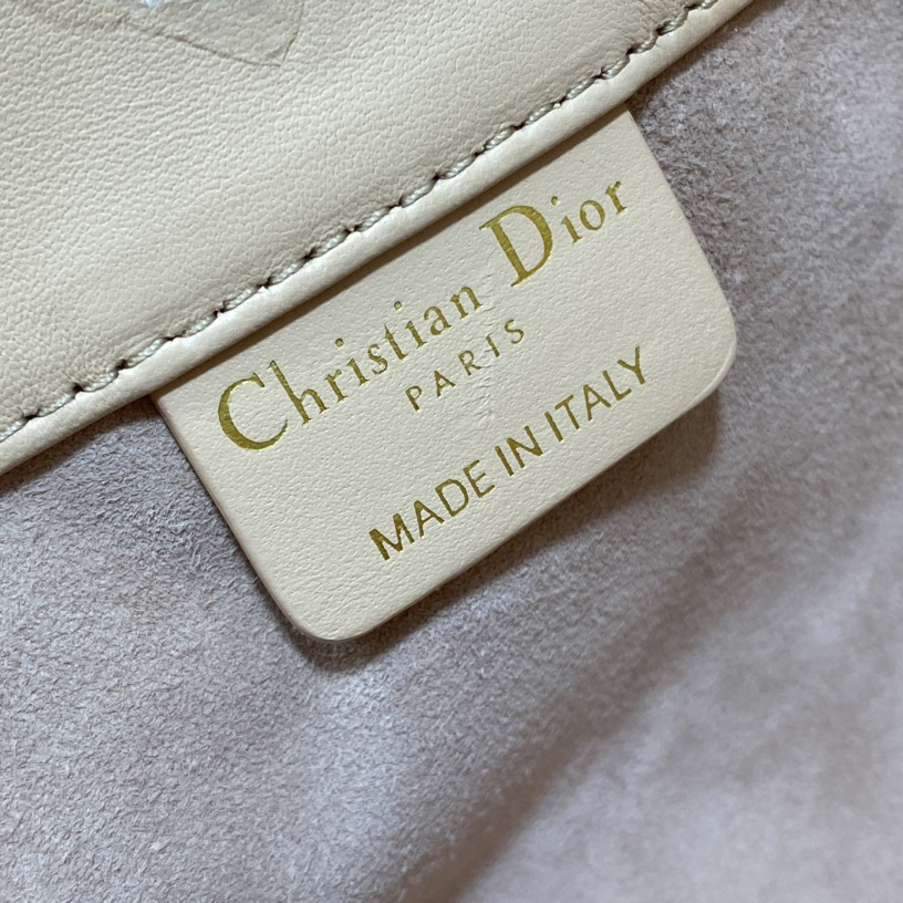 Dior Medium Dior Ammi Bag - PerfectKickZ