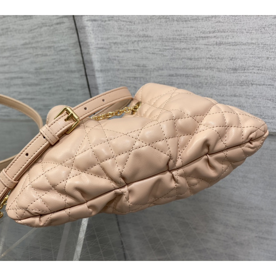 Dior Medium Dior Ammi Bag - PerfectKickZ