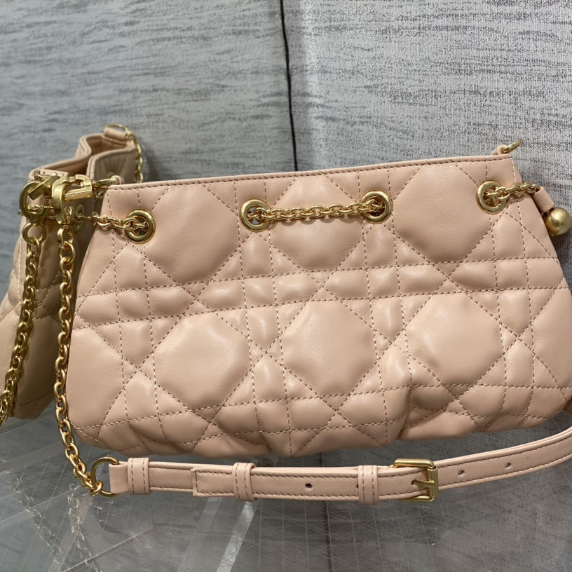 Dior Medium Dior Ammi Bag - PerfectKickZ