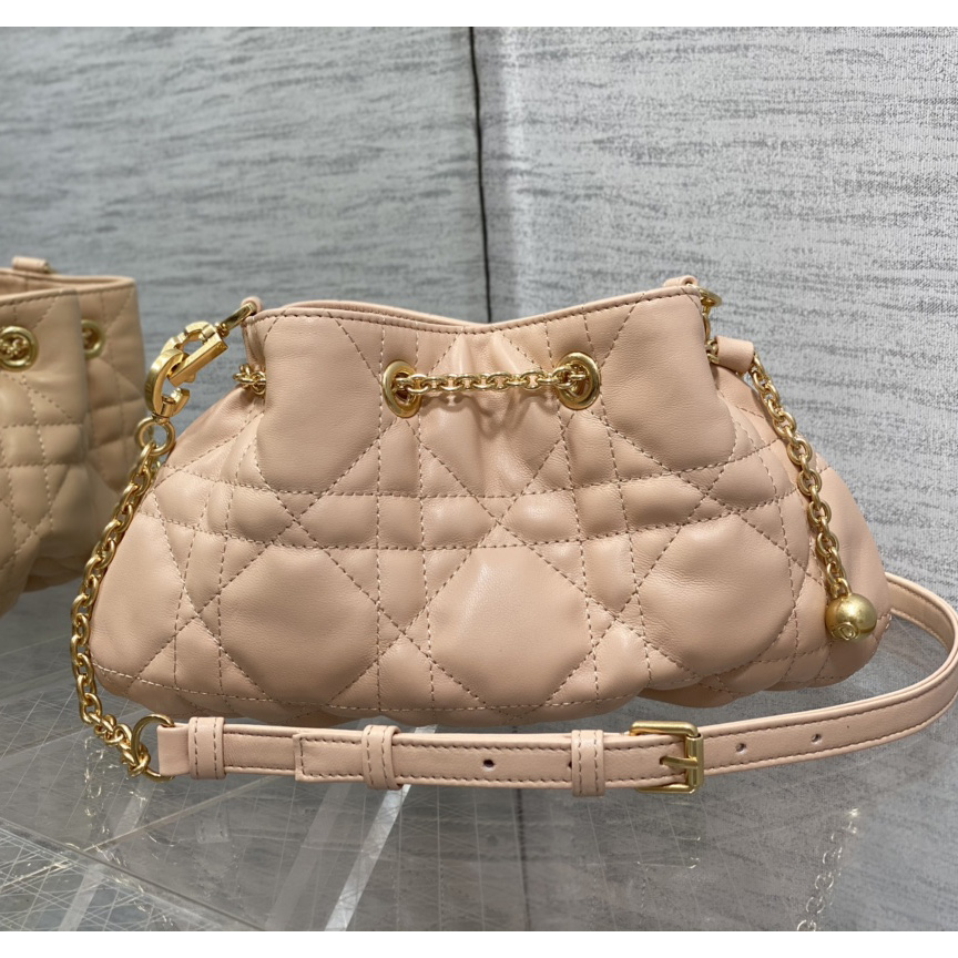 Dior Medium Dior Ammi Bag - PerfectKickZ