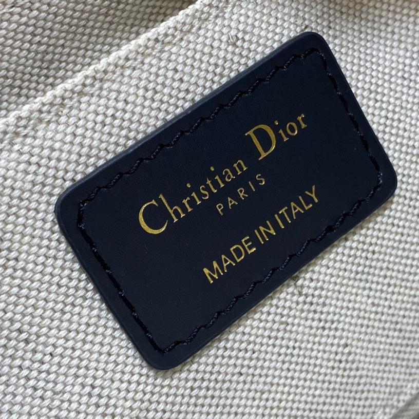 Dior CD Lounge Bag - PerfectKickZ