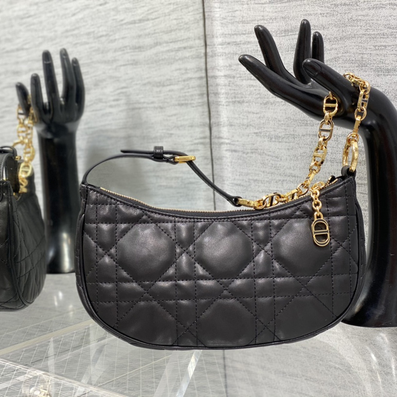 Dior CD Lounge Bag - PerfectKickZ
