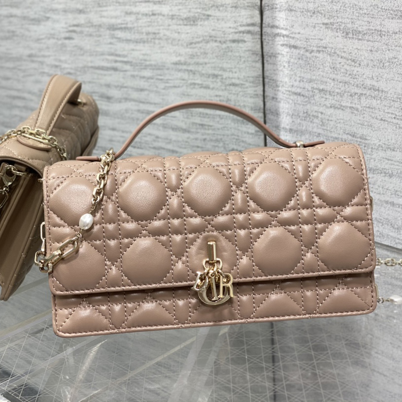 Dior Miss Dior Mini Bag - PerfectKickZ