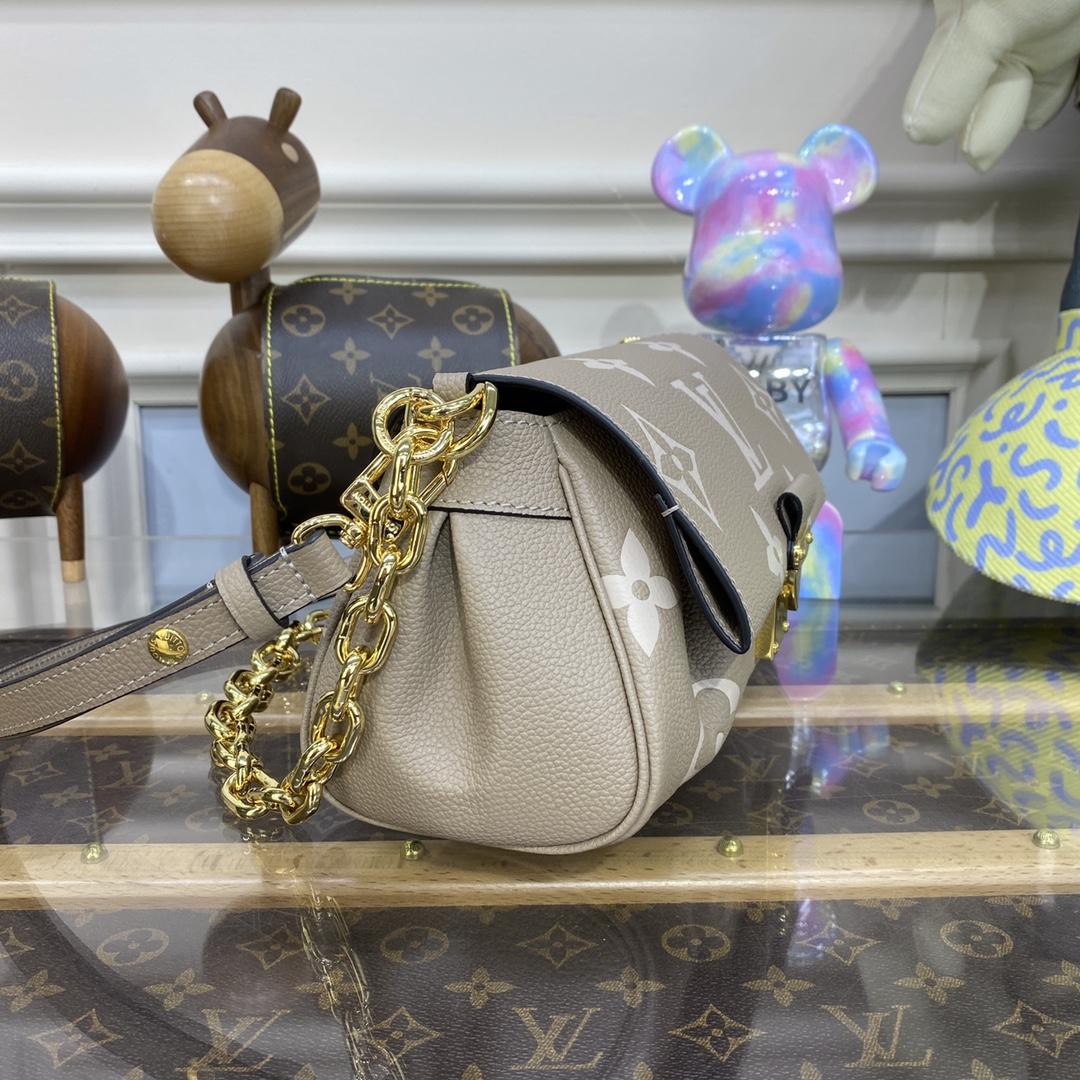 Louis Vuitton Favorite(24 x 14 x 9cm)    M45836 - PerfectKickZ