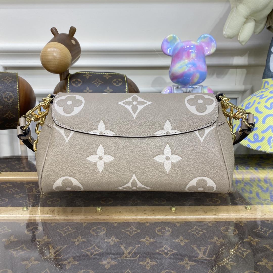Louis Vuitton Favorite(24 x 14 x 9cm)    M45836 - PerfectKickZ