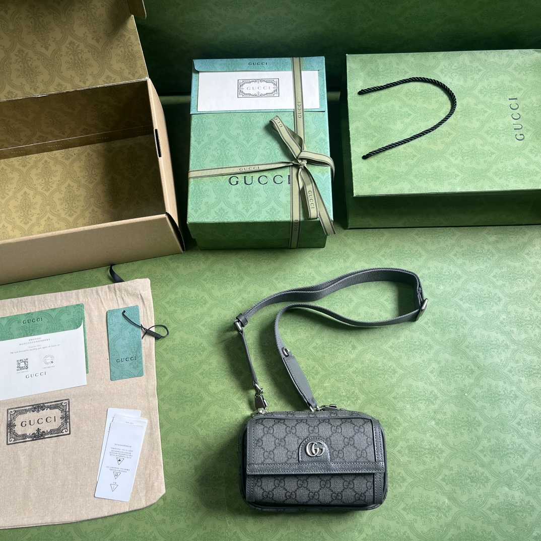 Gucci Ophidia GG Mini Bag(20-12.5-9cm)    - PerfectKickZ