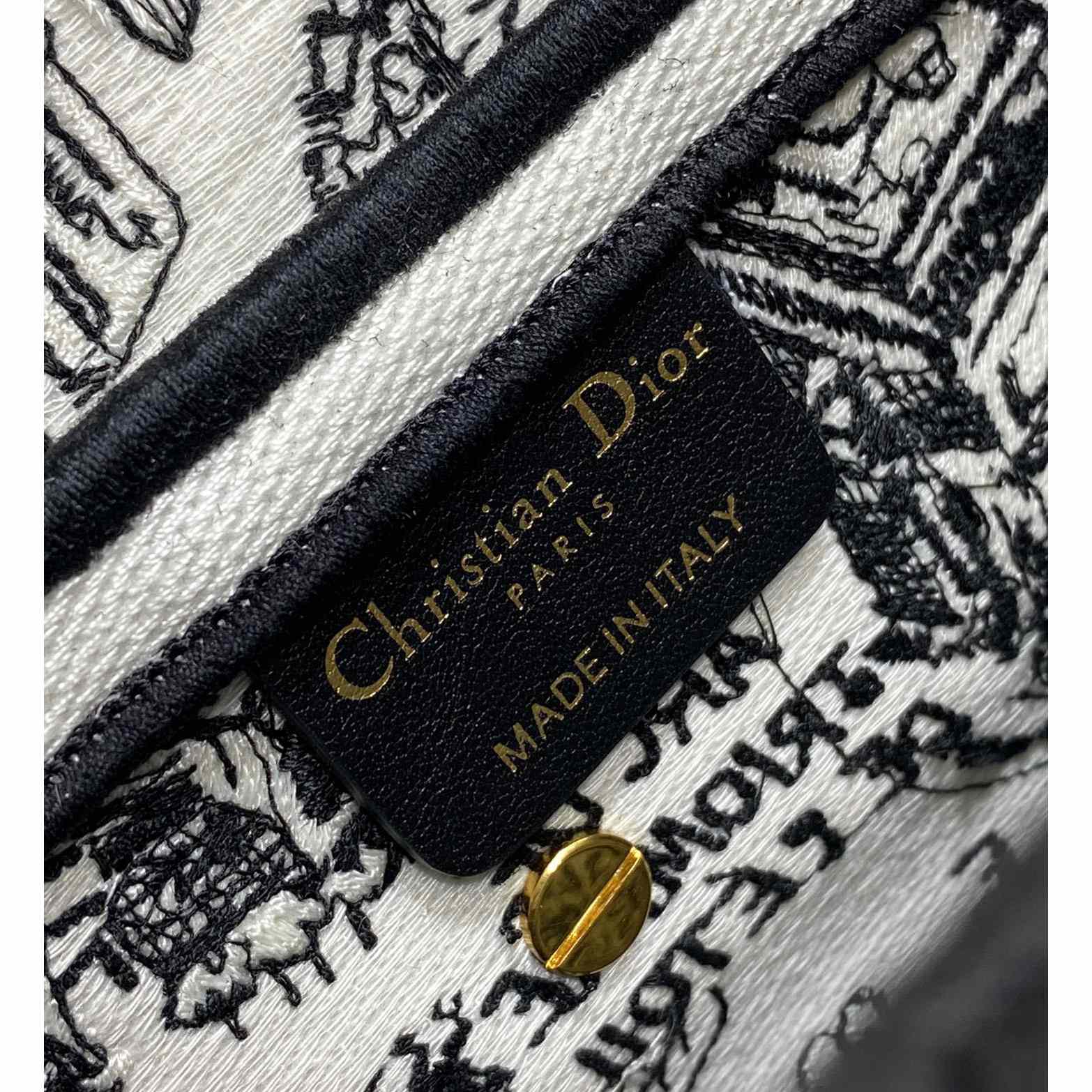 Dior Saddle Bag  - 