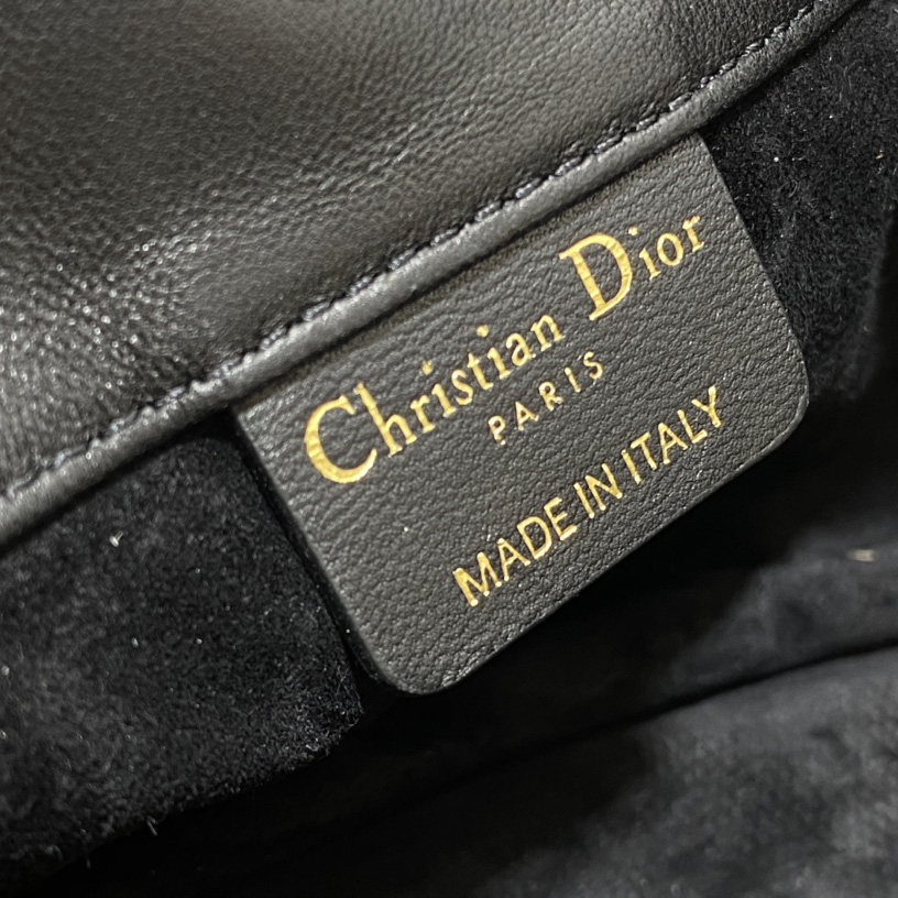 Dior Saddle Messenger Bag - PerfectKickZ