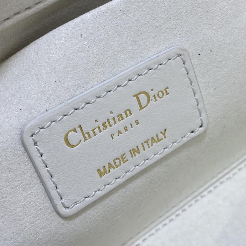 Dior Medium Lady D-Joy Bag - PerfectKickZ
