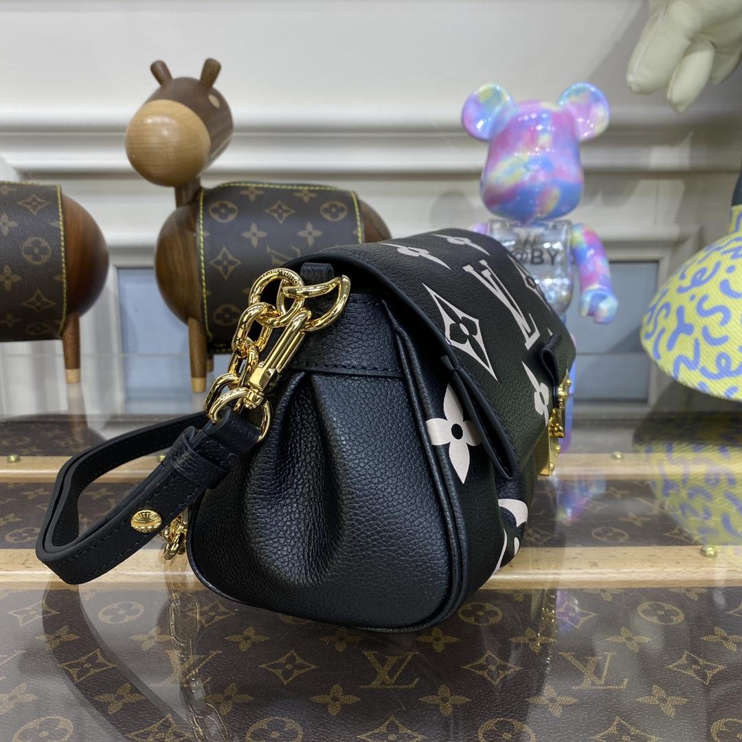 Louis Vuitton Favorite(24 x 14 x 9cm)    M45859 - PerfectKickZ