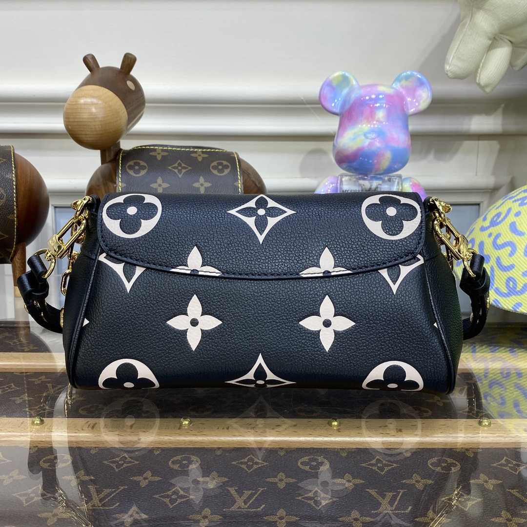 Louis Vuitton Favorite(24 x 14 x 9cm)    M45859 - PerfectKickZ